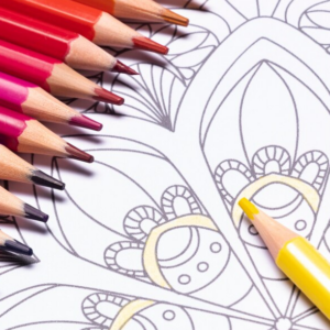 Adult Coloring Book Set